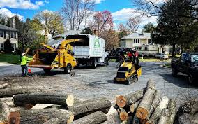 Best Mulching Services  in Cathcart, WA